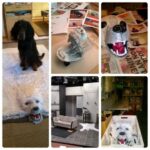 Kuvia Roosan valmistuksesta